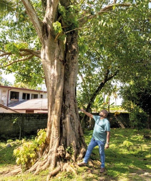 Sri lanka artikel 25 06